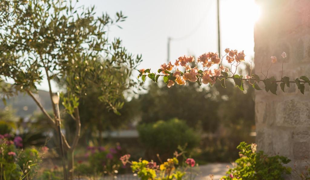 Villa Patmos Netia Skala  Ngoại thất bức ảnh
