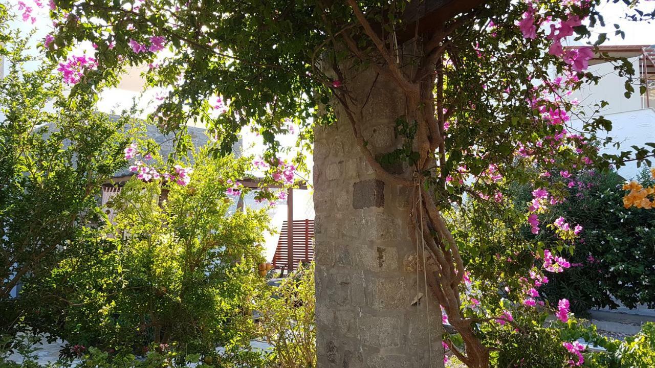 Villa Patmos Netia Skala  Ngoại thất bức ảnh